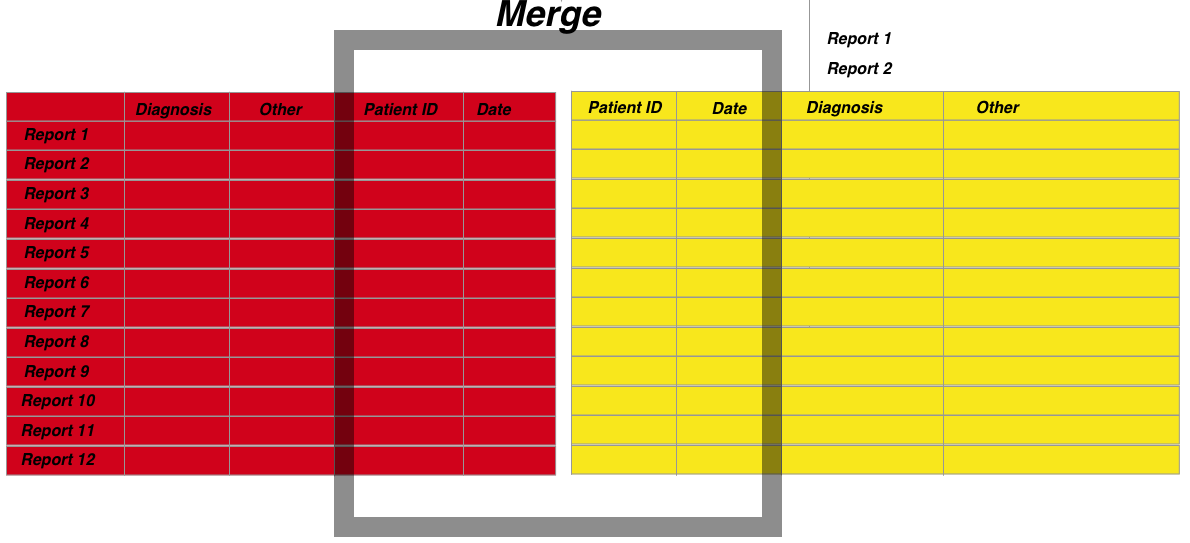 Merging the datasets